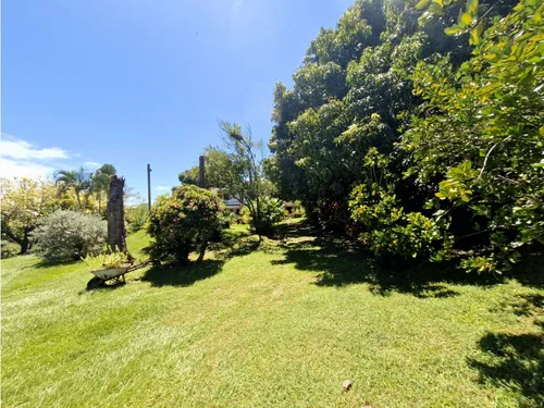 Venta De Finca En Sopetran