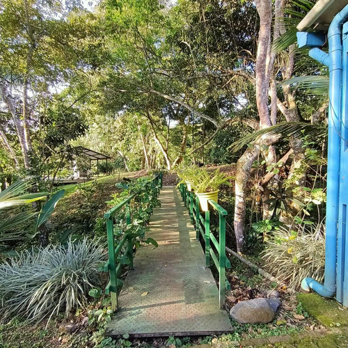 Imagen 14 de 24 de Casa Vacacional La Aguadita