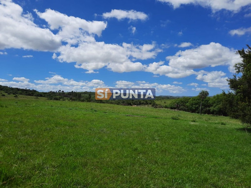 Imagen 4 de 22 de Linda Chacra De 5 Has En Las Cañas