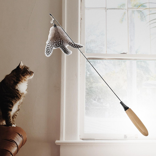 Juguetes Para Gatos Suministros Para Mascotas Juguete Teaser