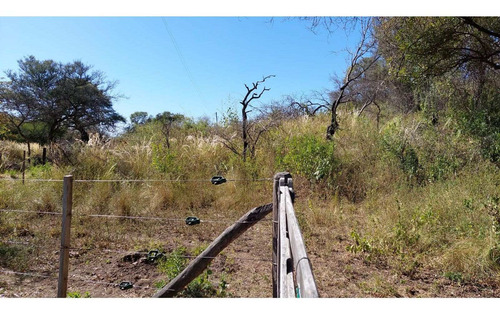 Imagen 3 de 8 de Fracción De 4.15 Ha En Falda Del Carmen. Lote N° 4