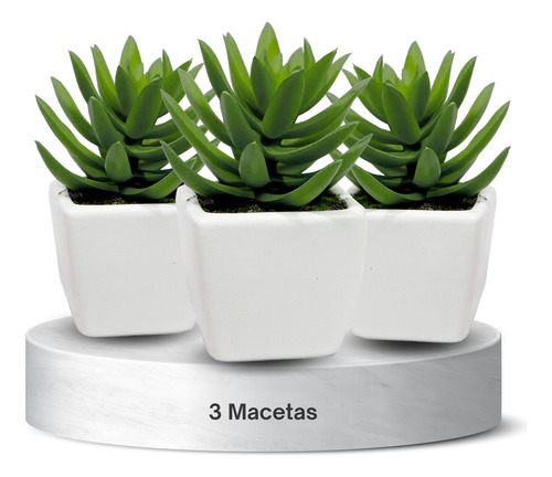 3 Minis Suculenta En Maceta De Cerámica Cuadrada Blanco