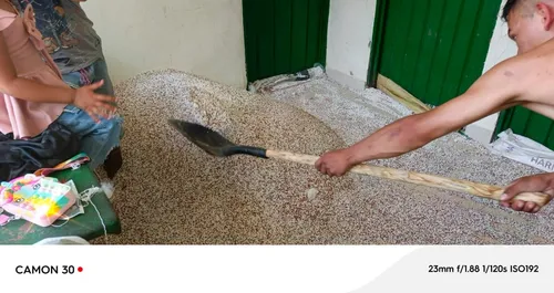 Venta De Finca Agropecuaria En La Martinica, Ibagué