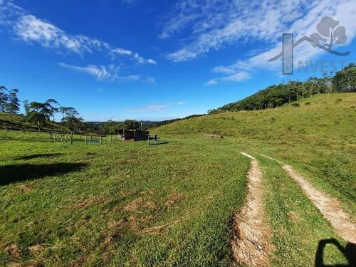 Cod 5569 -sitio Maravilhoso Em Ibiúna!! - 5569