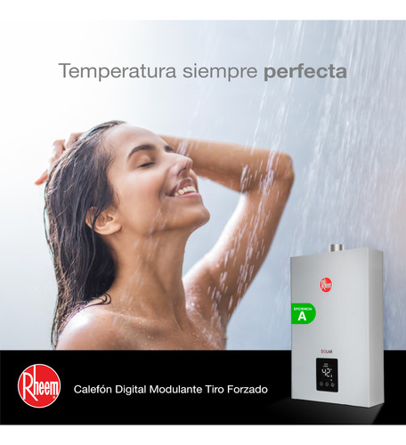 Pack Calefont Rheem 10l. T.forzado G.natural + Kit