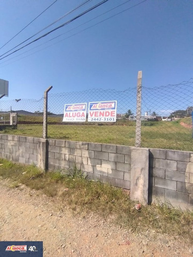 Imagem 6 de 15 de Terreno Para Venda No Bairro Cidade Industrial Satélite De São Paulo Em Guarulhos - Cod: Ai29734 - Ai29734