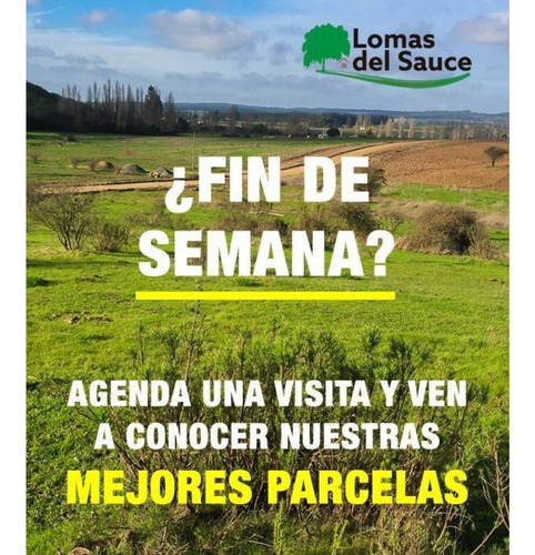 Excelente!! Parcelas De 5.000 M2 Con Rol Propio En "lom