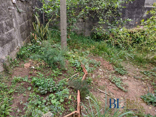 Imagem 7 de 15 de Oportunidade A 250m Da Futura Estação Aricanduva 490m²!! Permuta - Te00104a
