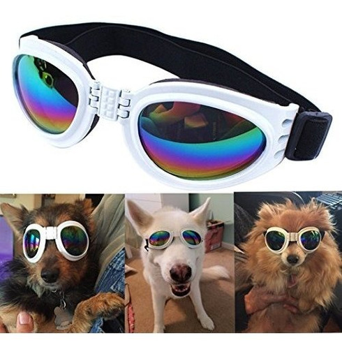 Gafas De Perro Resistentes Al Agua