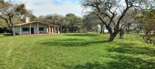 Arriendo /alquilo En Colonia Celina Entre Rios , Sobre El Rio 5 1/2 Hectareas