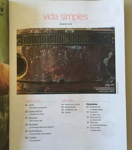 Revista Vida Simples - Edição 191 (Usado)