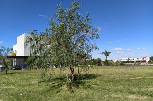 Imagen 2 de 4 de Terreno - San Matias