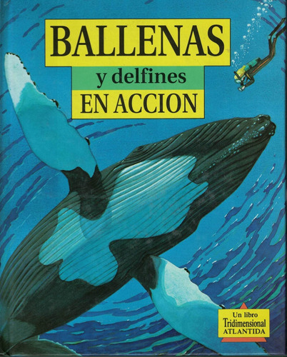 Ballenas Y Delfines En Accion