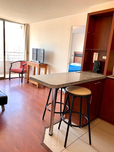 Departamento 1 Dormitorio En Suite Con Gran Terraza
