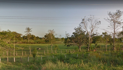 Imagen 3 de 17 de Venta 199 Hectáreas - Para Cultivo Y Ganado