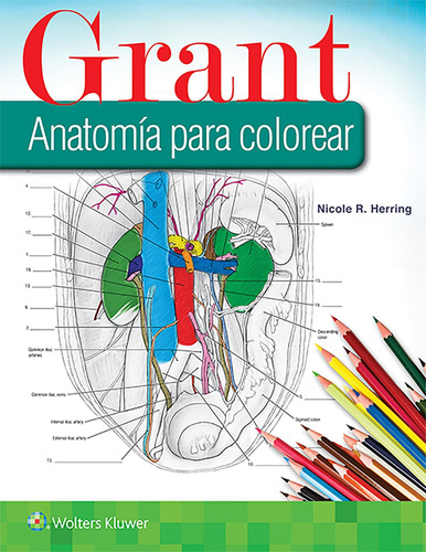 Libro: Grant. Anatomía Para Colorear (spanish Edition)