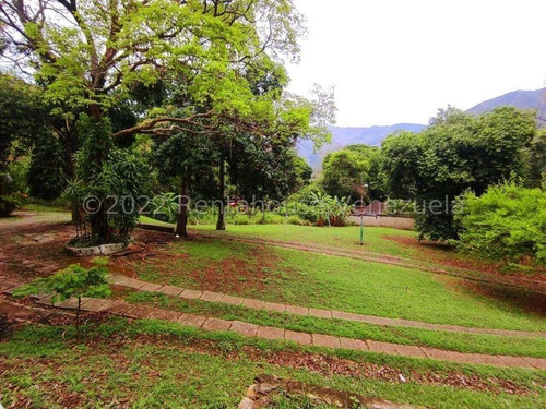 Imagen 6 de 14 de Terreno En Venta En El Castaño Maracay Aragua 22-25084 Irrr