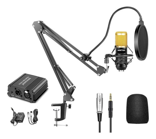 Micrófono Profesional Neewer Nw-700 + Kit + Phantom Power