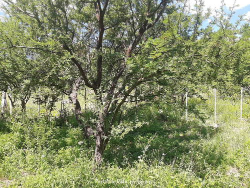 Gran Oportunidad En Capilla Del Monte Lote En Barrio Las Gemelas - Escritura