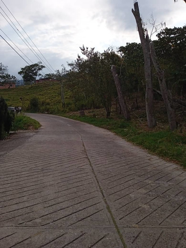 Imagen 6 de 8 de Lote De Terreno En El Valle 1.068mts