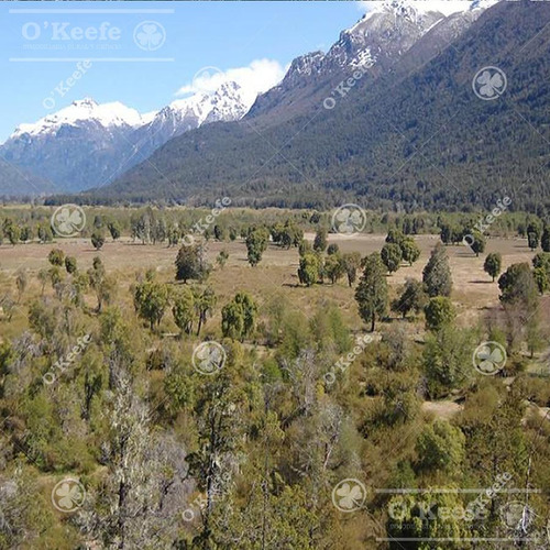 Imagen 5 de 17 de Chacra / Fracción En Venta En Patagonia Argentina - 12 Has Sobre Rio - Fly Fishing Pesca Con Mosca.