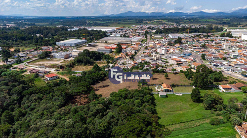 Imagem 20 de 30 de Terreno À Venda, 17538 M² Por R$ 3.500.000,00 - Guatupê - São José Dos Pinhais/pr - Te0074