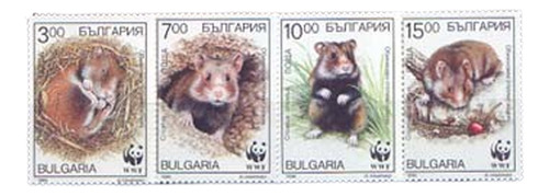 Bulgaria 1994. Fauna: Hámsters - W W F - 4 Estampillas