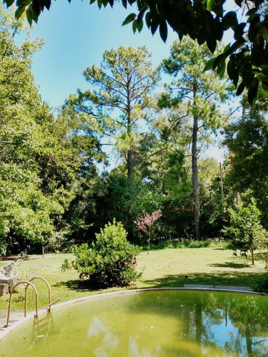 Casa - Villa Elisa