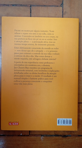Livro Como Domar Um Elefante - Jan Chozen Bays (raro! 2013) (Usado)