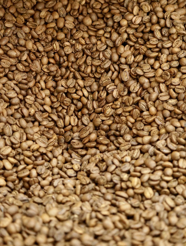 Café De Especialidad En Grano 500gr Tostado Medio Chiapas