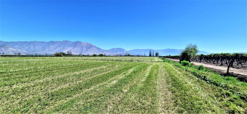 En Venta Parcela En San Rafael, San Felipe, 75.600 M2., En P