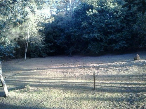 Imagem 10 de 30 de Sítio À Venda, 45000 M² Por R$ 636.000,00 - Lomba Do Pinheiro - Viamão/rs - Si0004