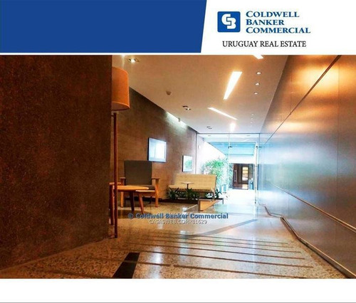 Oficina Punta Carretas Alquiler