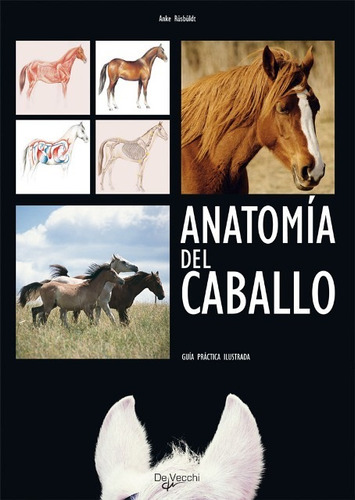 Outlet - Anatomia Del Caballo . Guia Practica Ilustrada