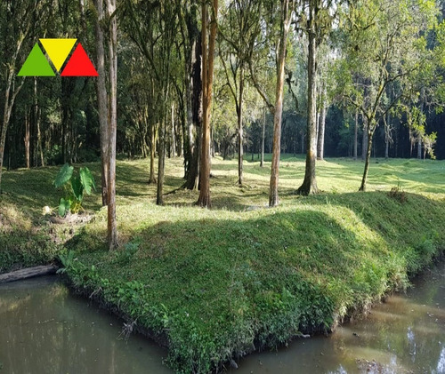 Imagem 10 de 30 de Chácara Em Cai De Baixo - Ch00088 - 34982990