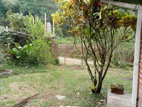 Se Vende Finca Alcalá Valle Del Cauca