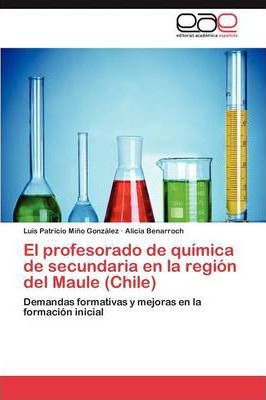 Libro El Profesorado De Quimica De Secundaria En La Regio...