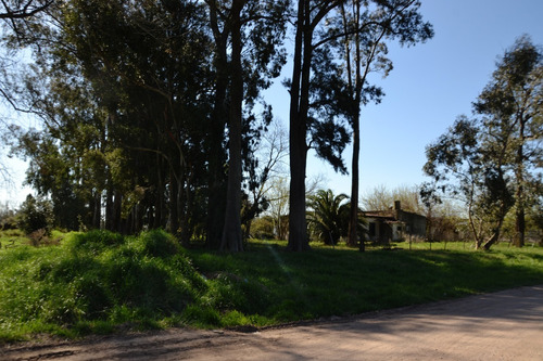 Imagen 4 de 12 de Vendo Lote Con Casa A Reciclar En Saladillo