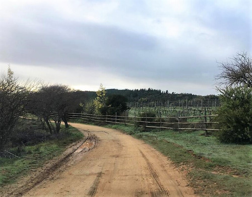Cauquenes Viñas Y Forestal, 2 Tranques (70047)