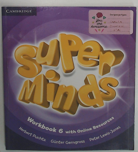 Super Minds Level 6 Workbook With Online Resources (ingles) 