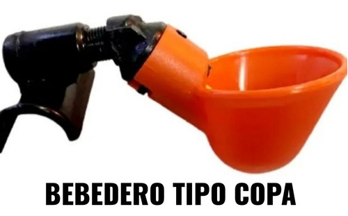 Bebedero Tipo Copa