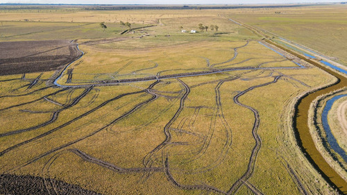 Venta Campo 740 Hás Rocha Agrícola Ganadero R 7085 (ref: Atm-7085)