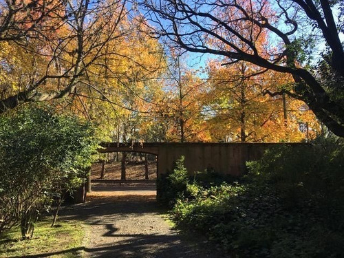 Imagen 4 de 14 de Venta De Lote En San Isidro