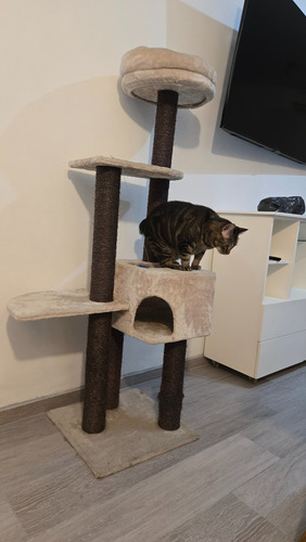 Rascador Torre Para Gatos 4 Niveles Beige (Usado)