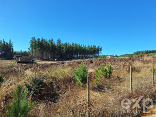 Sitio En Venta En Pichilemu.