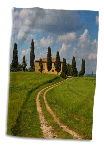 3d Rose Villa Road-wheat Fields-pienza-toscany-italy-eu16 Te