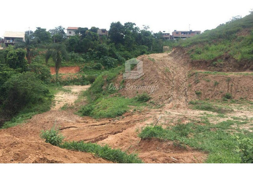 Imagem 1 de 22 de Terreno Amplo Para Desenvolvimento Imobiliário. - Te0019