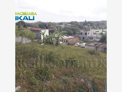 Imagen 9 de 12 de Terreno En Renta Anahuac