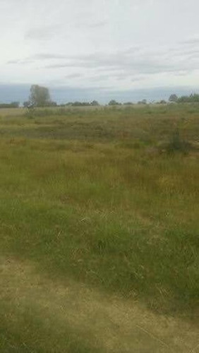 Imagen 5 de 6 de Terreno En Herrera, Entre Rios.4556 M2. Todos Los Servicio.