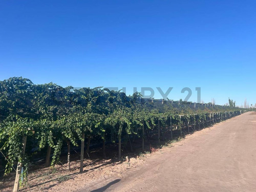 Venta De Finca , Century 21 Rodriguez N